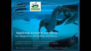 AIMM' Webinar #4 - Applying acoustic research to improve dolphin welfare