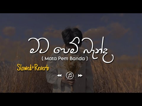 Mata Pem Banda - මට පෙම් බැන්ද (Slowed+Reverb)