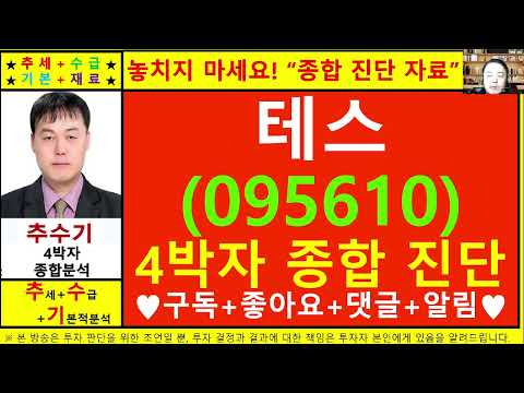 테스(095610)종목진단및향후주가전망 추수기(추수)전문가