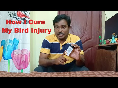 how i cure my bird injury | Pet Vlog | Kumar Tamil vlog