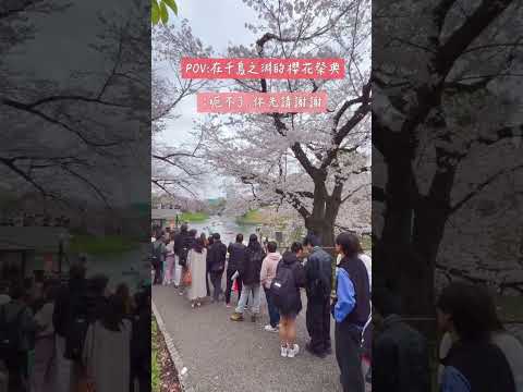 櫻花祭會場都是戰場呀！#日本自由行 #東京景點 #千鳥ヶ淵 #千鳥之淵 #東京櫻花 #櫻花季 #桜祭り  #さくらまつり  #櫻花