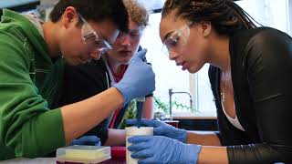 Amgen Biotech Experience: Scientific Technology for the Classroom