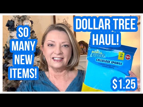 DOLLAR TREE HAUL | So Many NEW Finds | $1.25 | DT NEVER DISAPPOINTS😁 #haul #dollartree