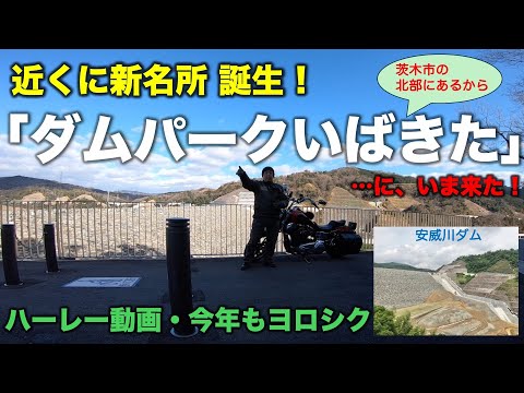 【#458】今年のハーレー初乗りの行き先は、「安威川ダム」と「ダムパークいばきた」日本一長い吊り橋もある！　北摂の新名所！　（2025年もよろしく）