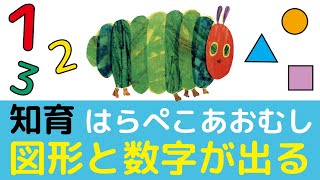 【知育】はらぺこあおむし！数字と図形に慣れていこう。