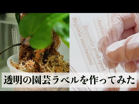 【観葉植物】透明ラベルを作ってみました【園芸札】