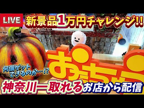 [クレーンゲーム配信] おたちゅう相模原店で新景品1万円チャレンジ！