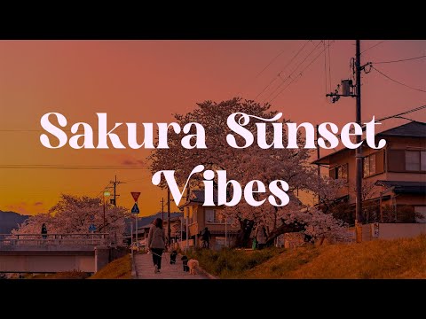 Sakura Sunset Vibes 🌸 Japanese Lofi Mix for Relaxation and Focus