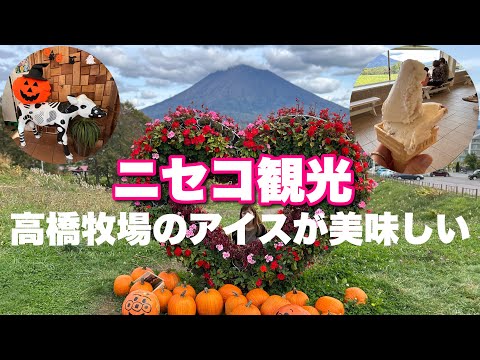 [Niseko Tourism]From Niseko Kogen Central Park to Takahashi Ranch!