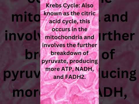 (part 1)What are the two types of Cellular Respiration? #trending #shorts #viral #aerobic