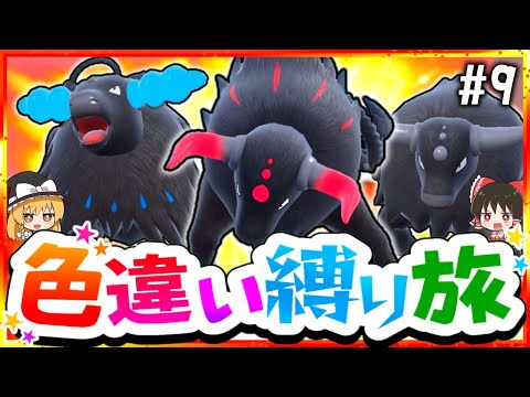 【ポケモンSV】色違い縛りでSVを攻略する旅#9(氷&闘)～ケンタロス3種・セビエ・アルクジラ・カラミンゴ～【スカーレット・バイオレット】【ゆっくり実況】