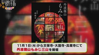 紅葉がまもなく見ごろ「丹波篠山もみじ三山」