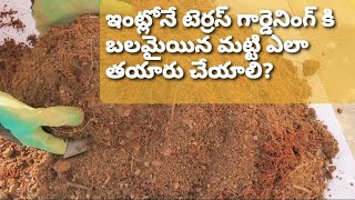 Homemade Organic Potting Mix for Terrace Garden | My Startup Terrace Garden in India | Potting Soil