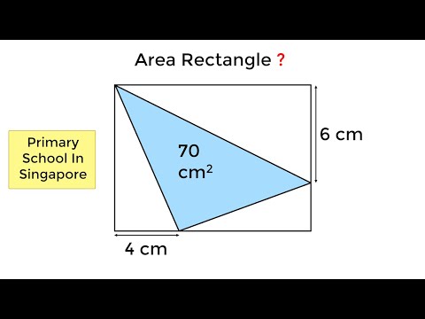 Primary School in Singapore - Area of Rectangle?