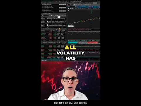 Taking Control_ Algorithms and the Neutralization of Stock Volatility