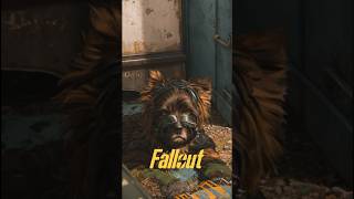 Turning My Pup Into a Fallout Adventure Companion #fallout