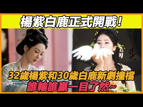 楊紫白鹿正式開戰！32歲楊紫和30歲白鹿新劇撞檔，誰輸誰贏真就一目了然~楊紫#李現#國色芳華#白鹿#敖瑞鵬#白月梵星