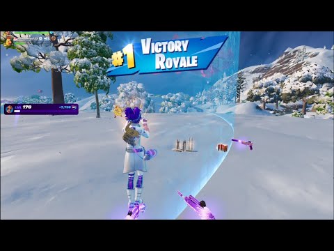 Victory Royale: Suits You Right for Hiding and Aiming Like Bots! | Fortnite C6S1 Zero Build Duos