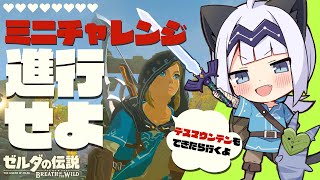 【ゲーム配信】ティアキンクリアしたのでもう一回ブレワイを旅したい！#08【BotW】