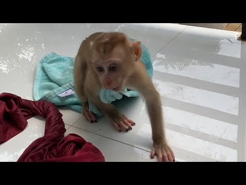 Little Cute Baby Boy Play in Front of The House Look is Very Happy