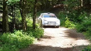 Sébastien Loeb / Test Gravel / #HMSGOfficial #CFRallye