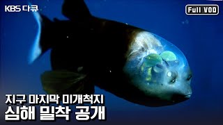 뇌가 보이는 물고기 ‘배럴아이’부터 ‘발광해파리'까지! 고화질로 만나는 심해의 신비 | “최초 탐사 남태평양 심해를 가다” (KBS 110605 방송)