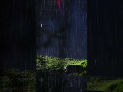 Deep Rain Sound for Sleep #relaxmusicbox #sleepmusicfordeepsleep #pianomusic #rainsoundsforsleep