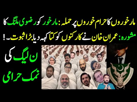 Imran Khan Ne Supporters Ko Kia Keh dia... 😲 || Details by Malik Nasrullah