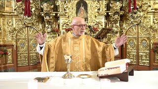 Santa Misa de la Sagrada Familia, con el Padre José. #misadehoy #misaenvivo #misacatolica