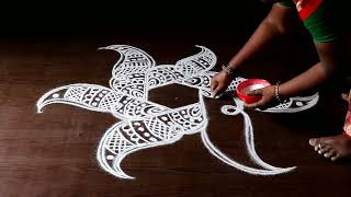 SIMPLE KOLAM | daily kolam | kolam | daily rangoli | rangoli | rangoli design | vasugi kolam | trend