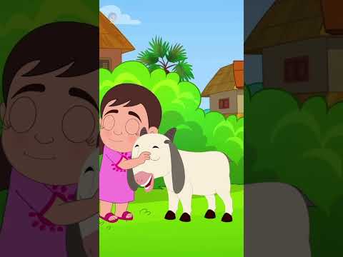 Bolchi Ore Chagol Chana, বলচি ওরে ছাগোল ছানা #ytshorts #banglacartoon #kidssong #poem #trending