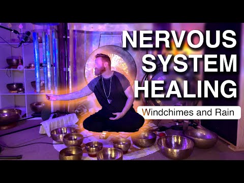 Nervous System Balancing Music | Vagus Nerve Reset For Deep Rest