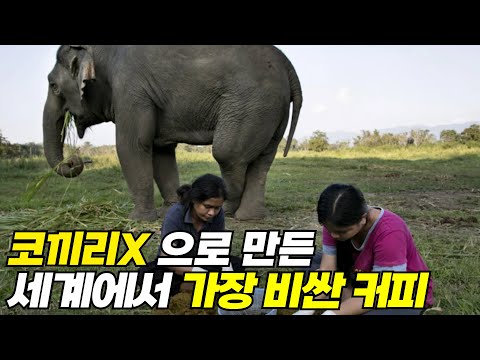 ☕커피 한잔 할래요~? 근데 좀 많이 비싼...TOP 6 !!!