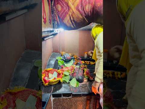 Jagdamba Mata ka mandir Karauta | Karauta Temple Patna #karautamandir #jagsambatemple #shorts