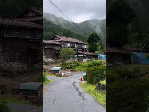 Rainy day Walking Tour Japan #japan #nature #japanwalk #shorts