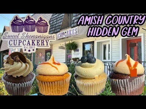 Sweet Shenanigans Cupcakery Review - Intercourse Pa (Amish Country Hidden Gem)