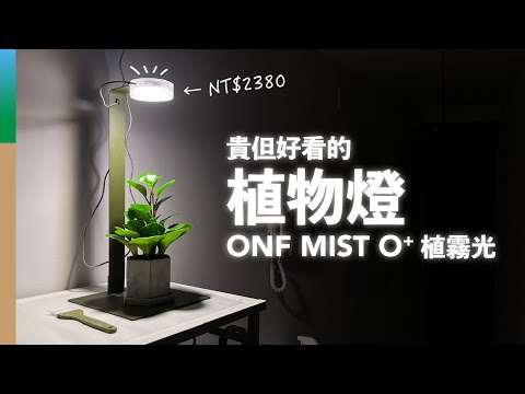 2380元的植物燈，好貴！但好看！｜ONF MIST O+ 智慧植霧光