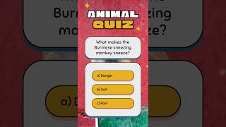 How many can you get right?👀 #animalquiz #animaltrivia #quiz #trivia #animalchallenge