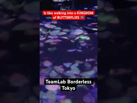 That feeling of walking into the KINGDOM of BUTTERFLIES #japan #borderless #viralshorts