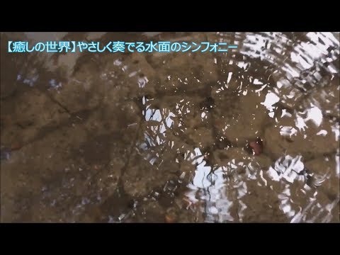 【癒しの世界】水面のシンフォニー雫