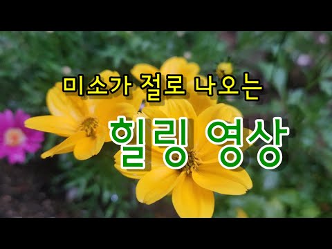 미소가 절로 나오는 힐링시간 함께 해요🌳❤️