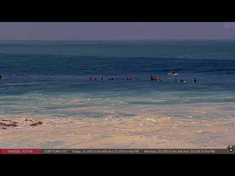 Jan 5, 2025: Shark Spotted Leaping out of Water at Waimea Bay, Hawaii