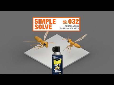 How to Get Rid of Wasps and Hornets | The Home Depot Canada