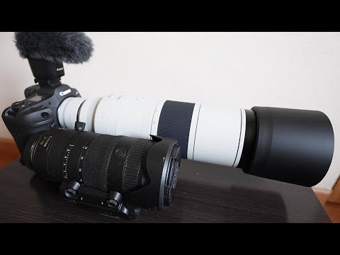 【RF200-800mm F6.3-9 IS USM 開封】１６００mmで手持ち撮影するとこんな感じです