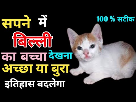 Sapne Me Billi Ka Baccha Dekhna | सपने मे  बिल्ली का बच्चा देखना | Seeing Cats In Dream | #Cat_Dream