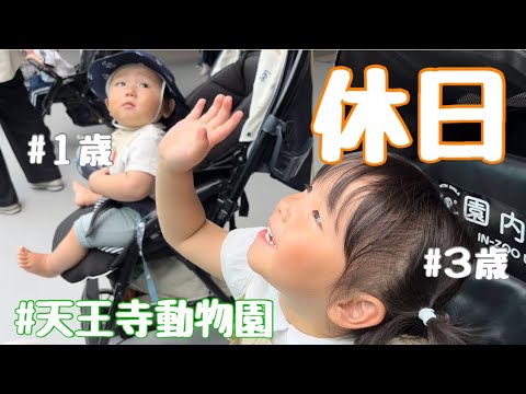 【平日休日】幼稚園お休みして家族で少し遠出🚗動物園🦓🦁🦒