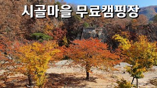 포항지역에서 최대 오지 한적한 시골마을 있는곳 무료캠핑장 소개합니다.