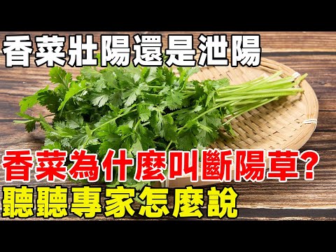 香菜壯陽還是泄陽？ 香菜為什麼叫斷陽草？ 聽聽專家怎麼說#科普頻道 #科普