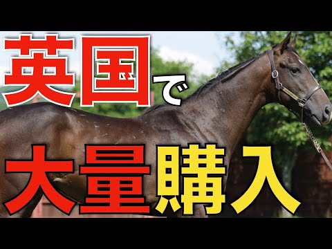 英国セールで衝撃の14頭爆買い！あの牧場が選んだ日本向け種牡馬とは？