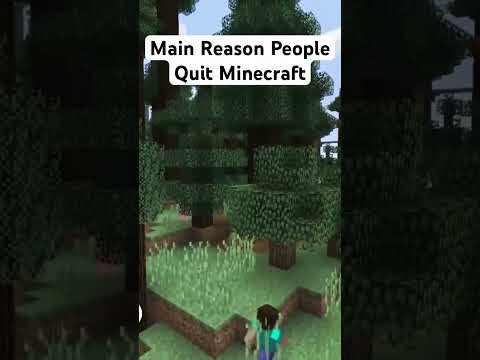 The Main Reason People Quit Minecraft